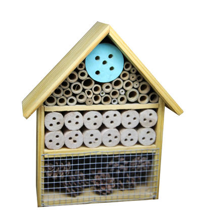 Best Wild On Wildlife Insect Hotel