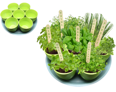 7 In One Herb Kit For Garden Herb Growing Kit Herb Pots