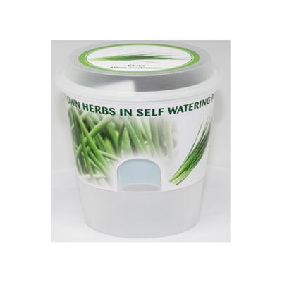 grow your own flower in self watering planter